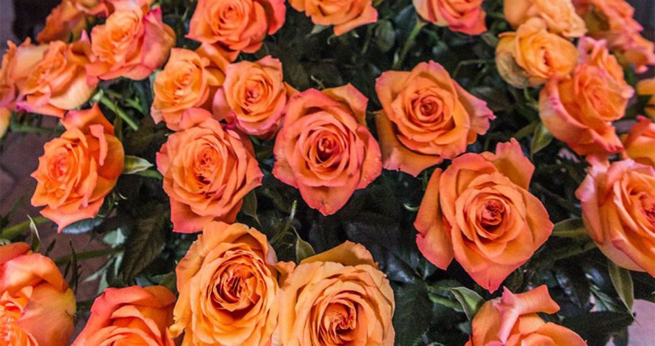 Bouquet de fleurs de roses